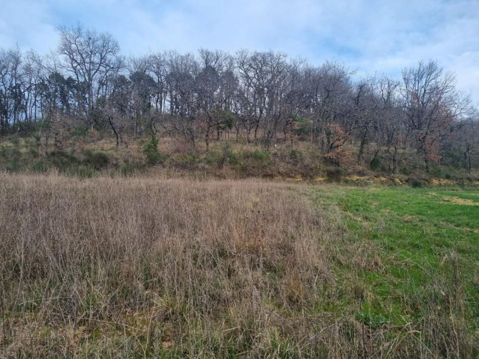 Terra a Auch, Gers - foto 3