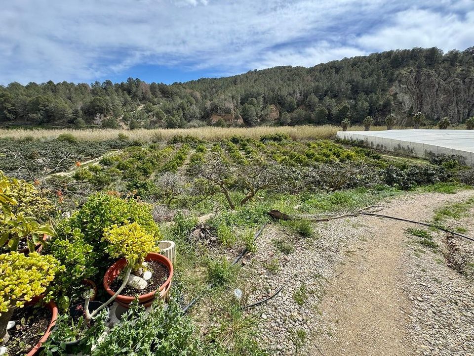 Landejendom i Callosa D'en Sarria, Alicante - foto 2