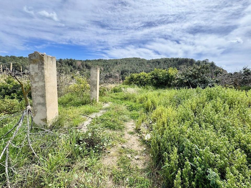 Landejendom i Callosa D'en Sarria, Alicante - foto 4