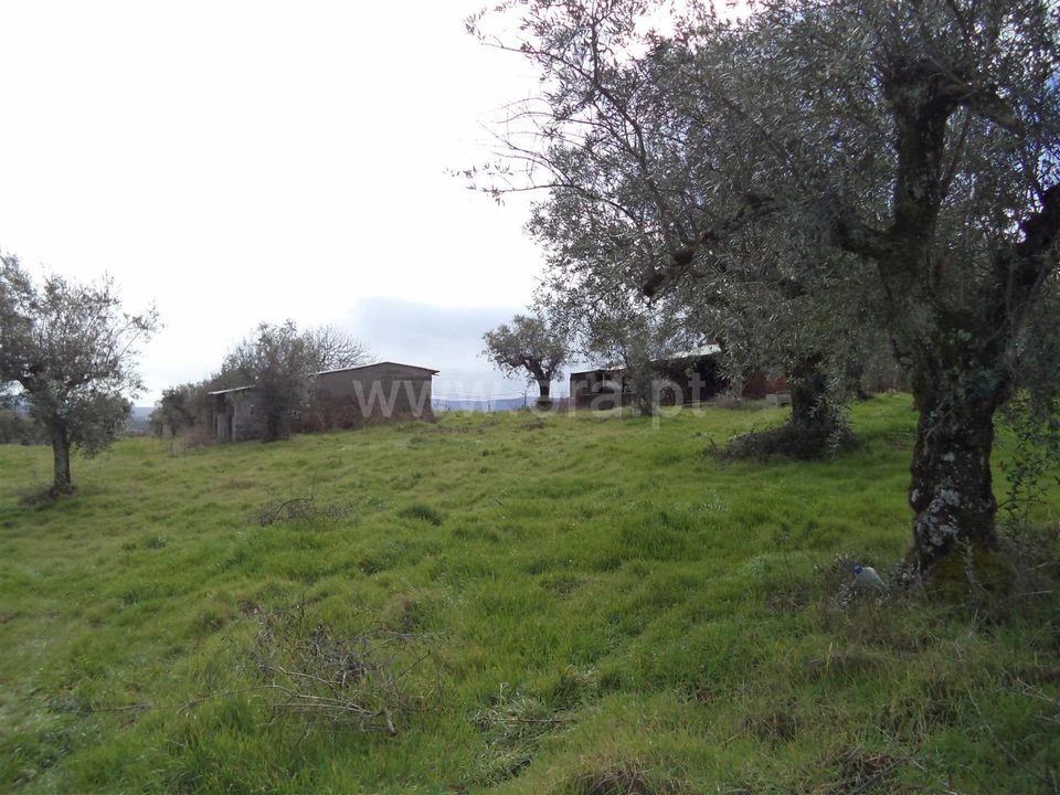 Helårsgrund i Fundao, Castelo Branco - foto 1