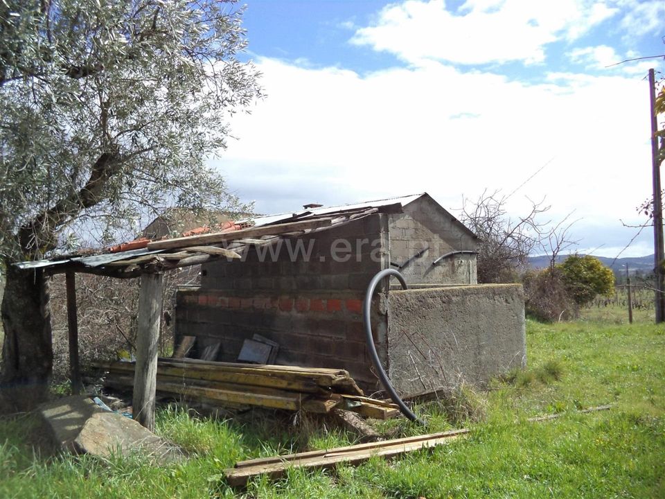 Helårsgrund i Fundao, Castelo Branco - foto 3