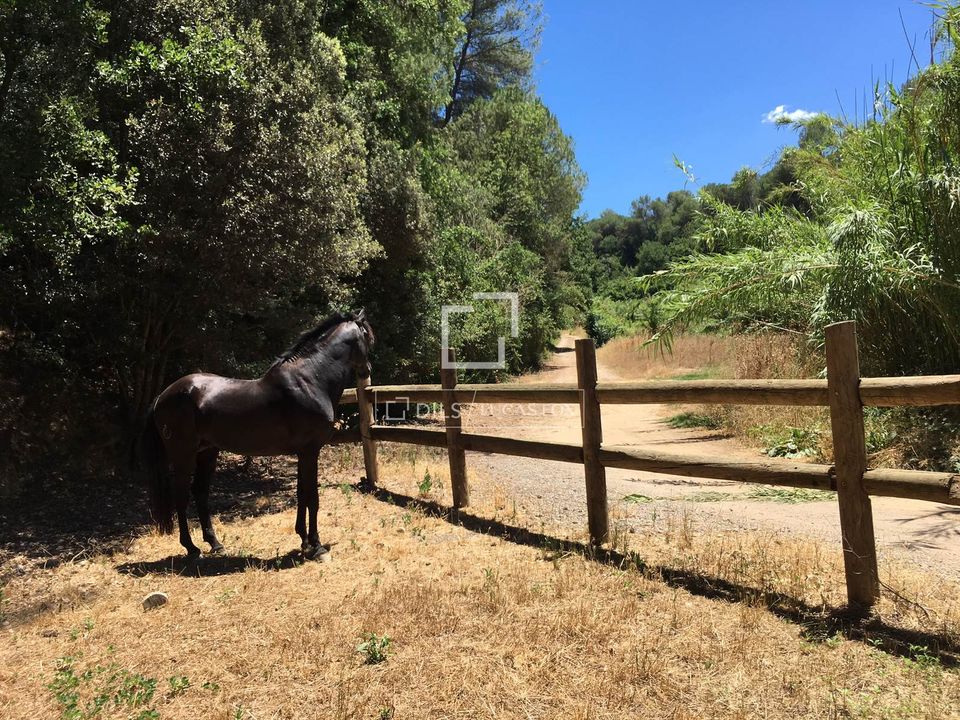 Helårsgrund i Sant Cugat Del Valles, Barcelona - foto 2