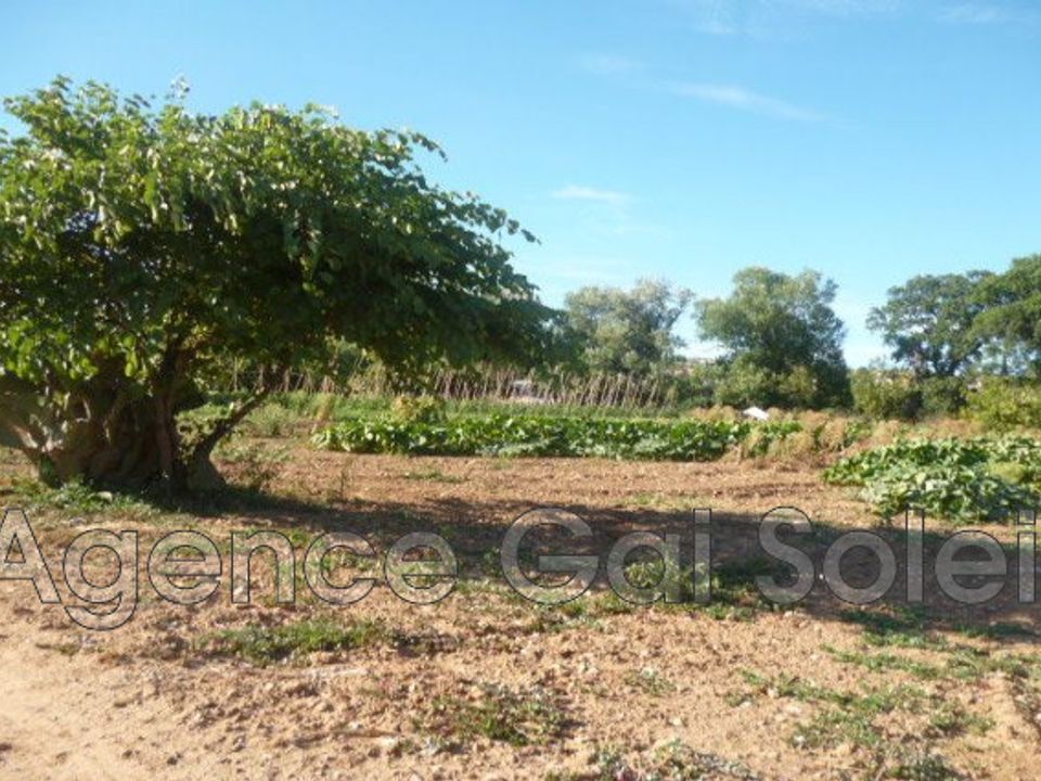 Landejendom i Cazouls-lès-Béziers, Herault - foto 3