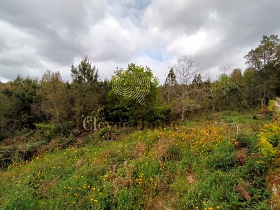 Helårsgrund i Barcelos, Braga - foto 3