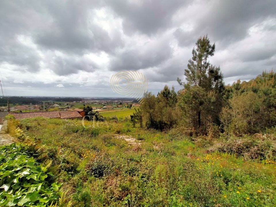 Helårsgrund i Barcelos, Braga - foto 4