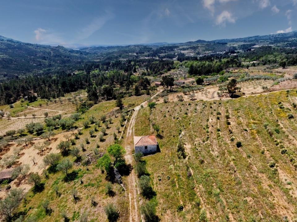 Tomt i Tabuaco, Viseu - bilde 5