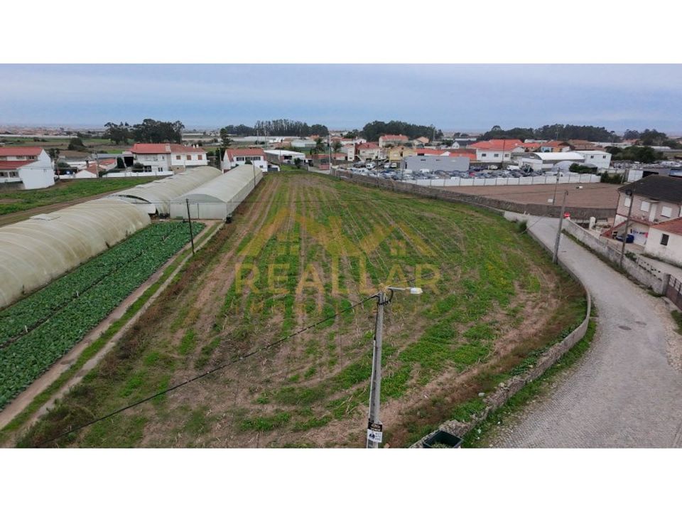 Helårsgrund i Terroso, Porto - foto 3