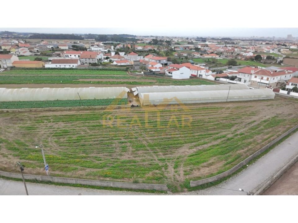 Helårsgrund i Terroso, Porto - foto 4
