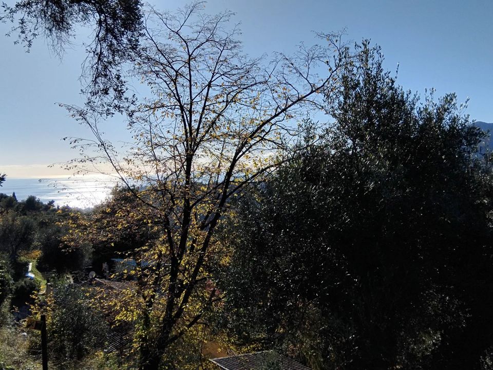 Tomt i Castellar, Alpes-Maritimes - bilde 1