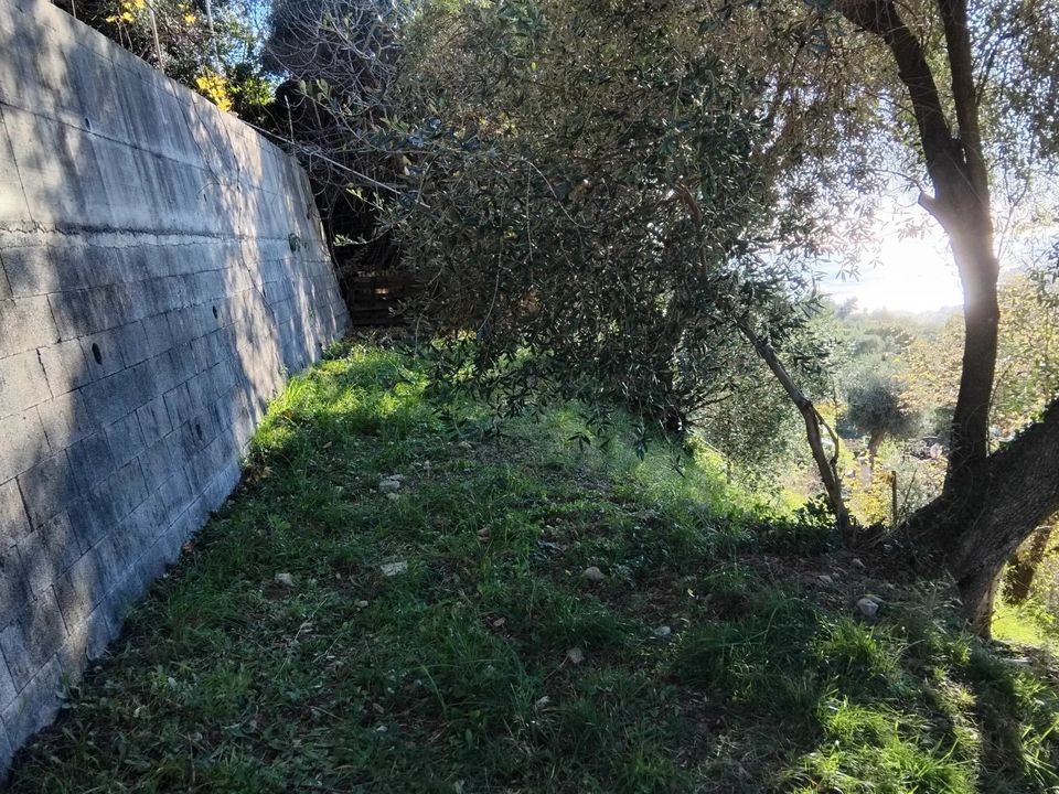 Tomt i Castellar, Alpes-Maritimes - bilde 2