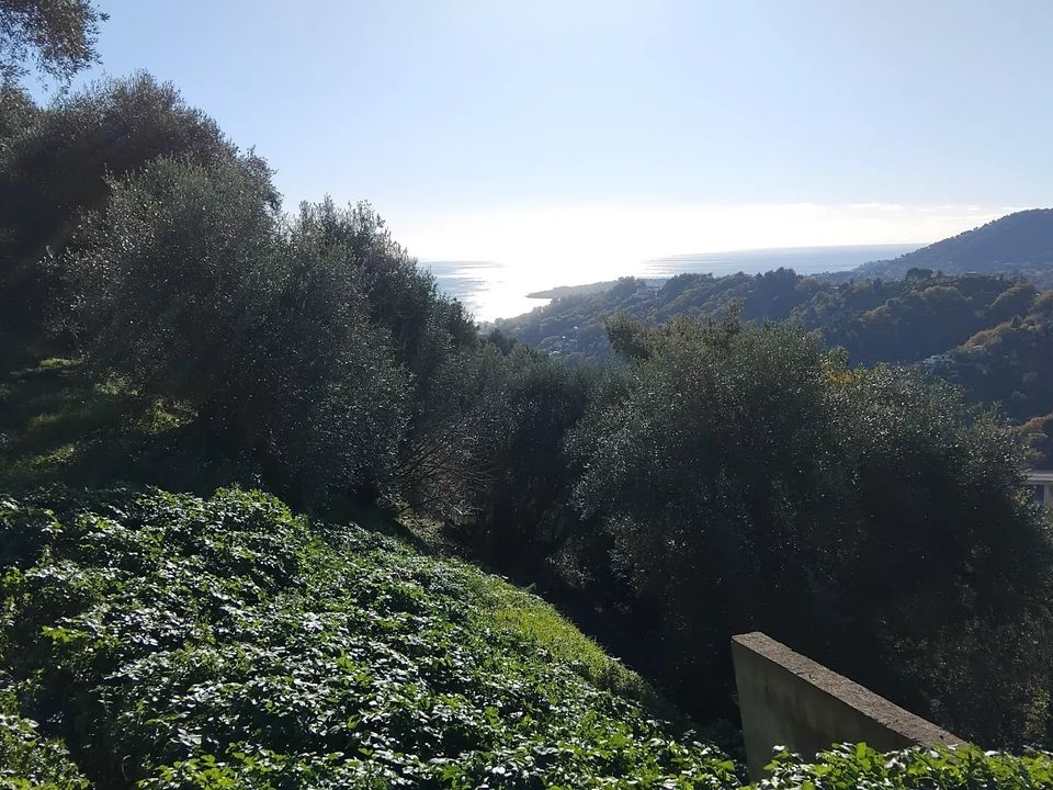 Tomt i Castellar, Alpes-Maritimes - bilde 5
