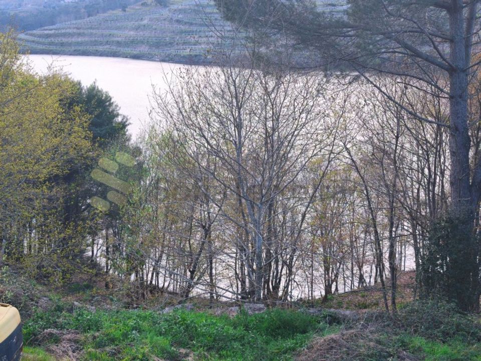 Farm i Marco de Canaveses, Porto - foto 1