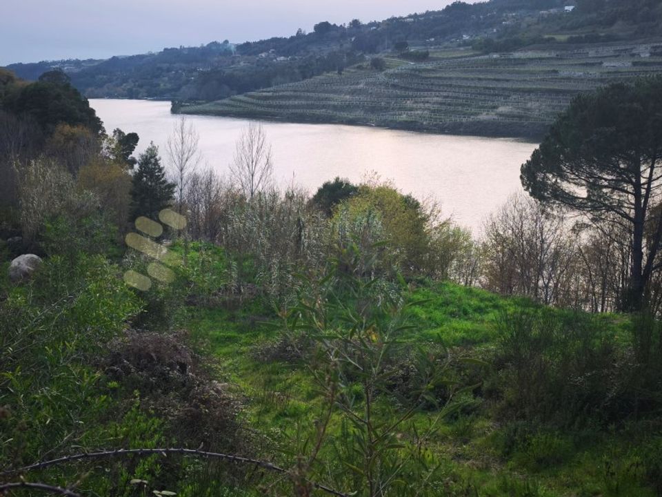Farm i Marco de Canaveses, Porto - foto 3