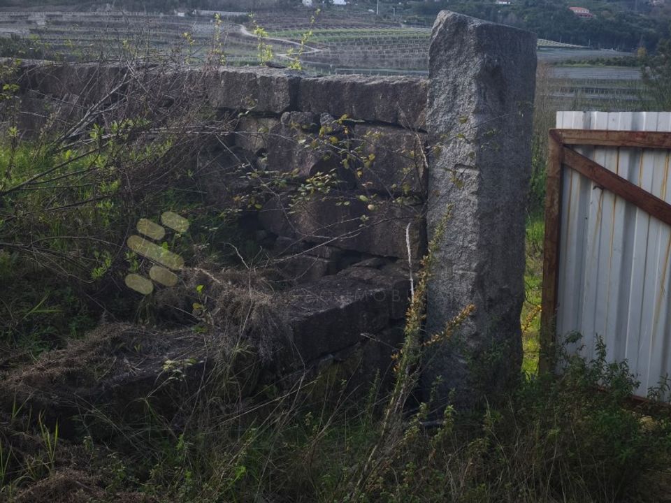 Farm i Marco de Canaveses, Porto - foto 5