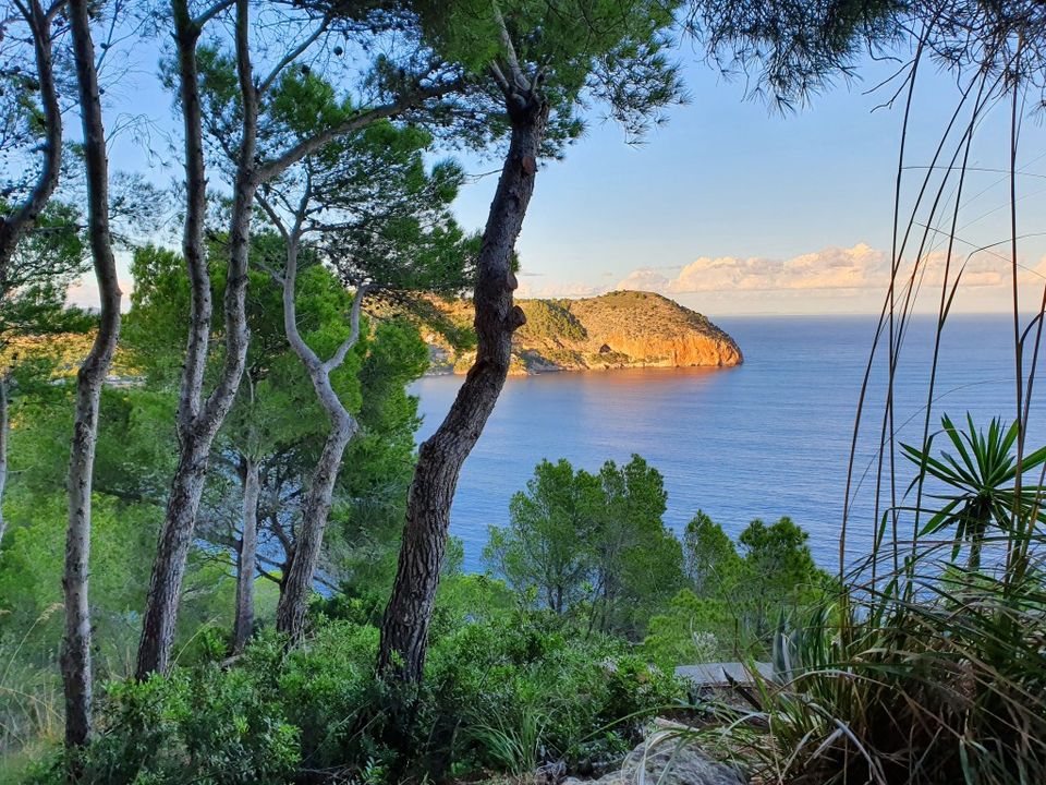 Helårsgrund i Capdepera, Mallorca - foto 2