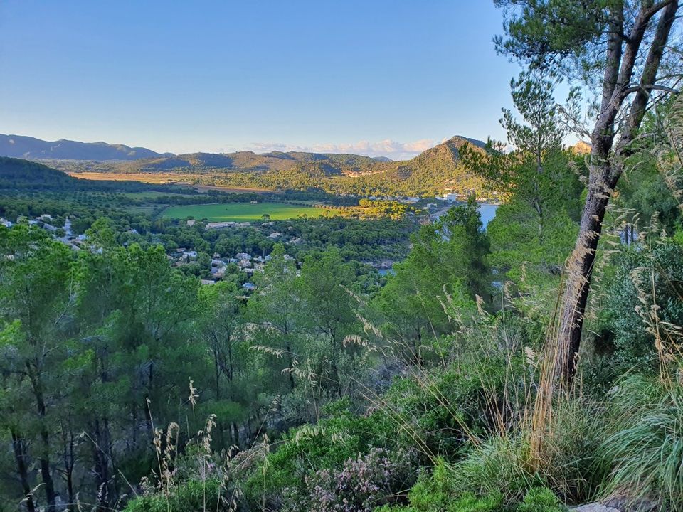 Helårsgrund i Capdepera, Mallorca - foto 3