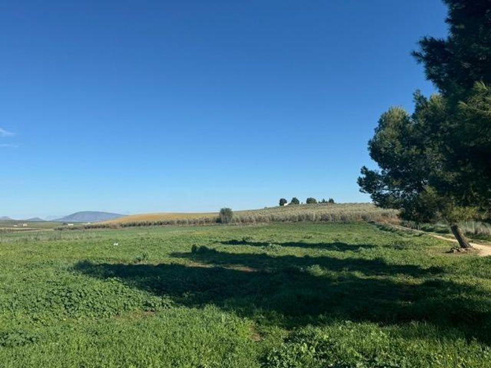 Landejendom i Sierra De Yeguas, Malaga - foto 1
