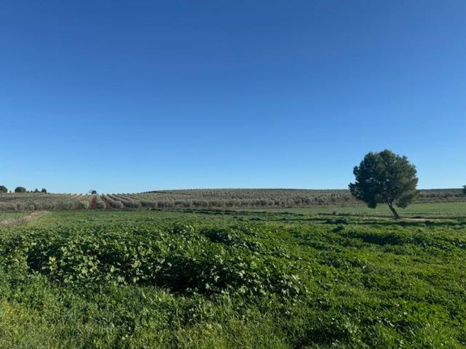 Landejendom i Sierra De Yeguas, Malaga - foto 2