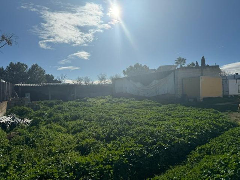 Landejendom i Sierra De Yeguas, Malaga - foto 3