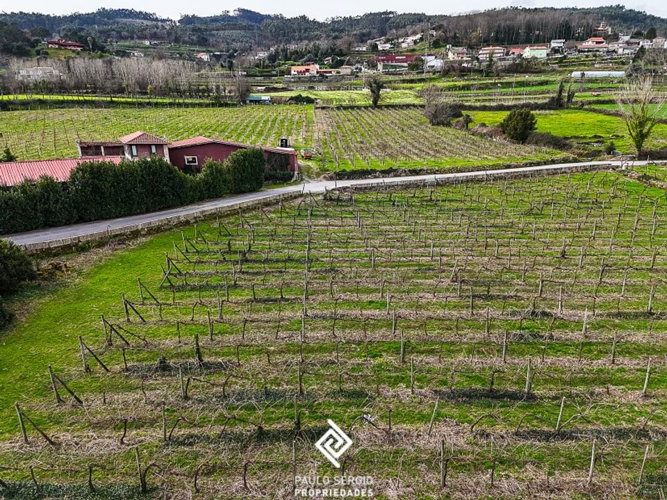 Farm i Guimaraes, Braga - foto 5