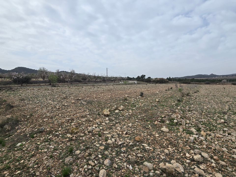 Grond in Salinas, Alicante - foto 5