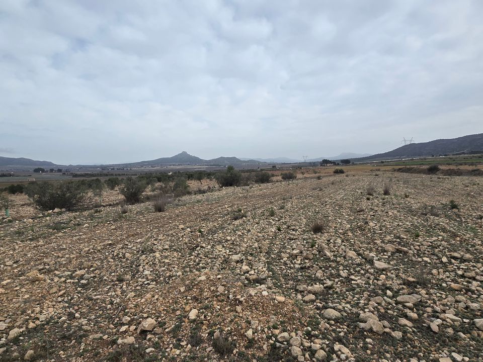 Grond in Salinas, Alicante - foto 3
