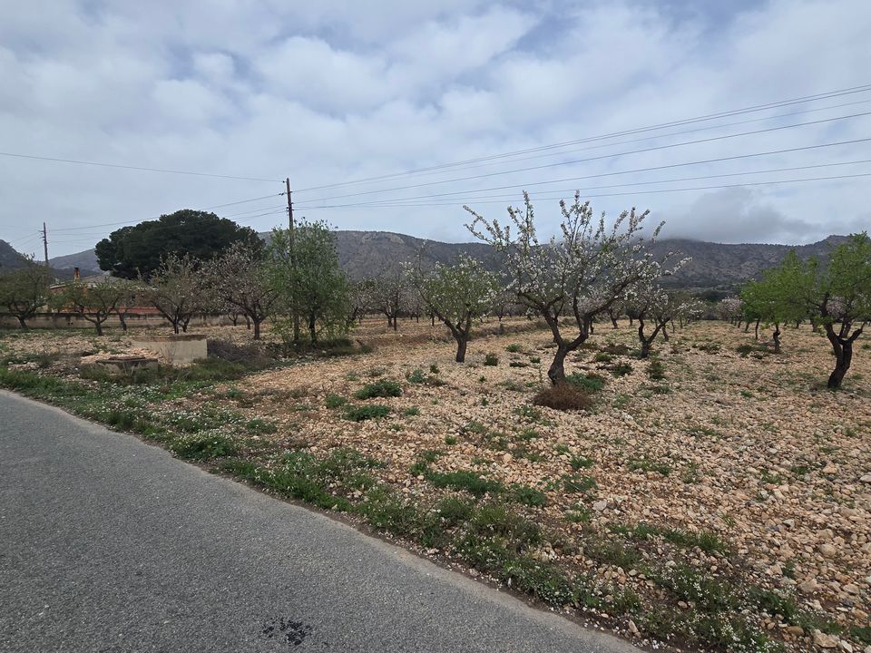 Grond in Salinas, Alicante - foto 3