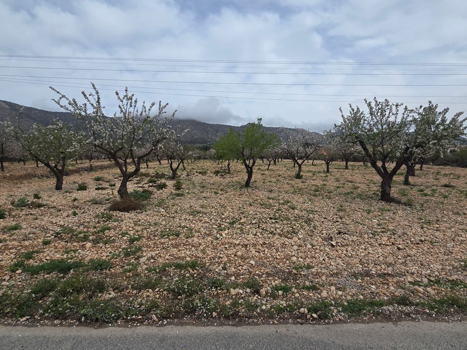 Grond in Salinas, Alicante - foto 2