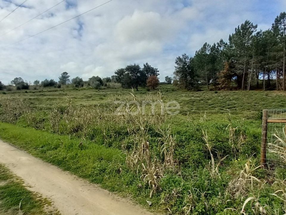 Tomt i Cartaxo, Santarem - bilde 1