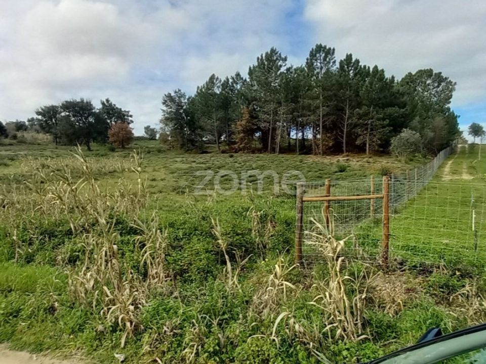 Tomt i Cartaxo, Santarem - bilde 3