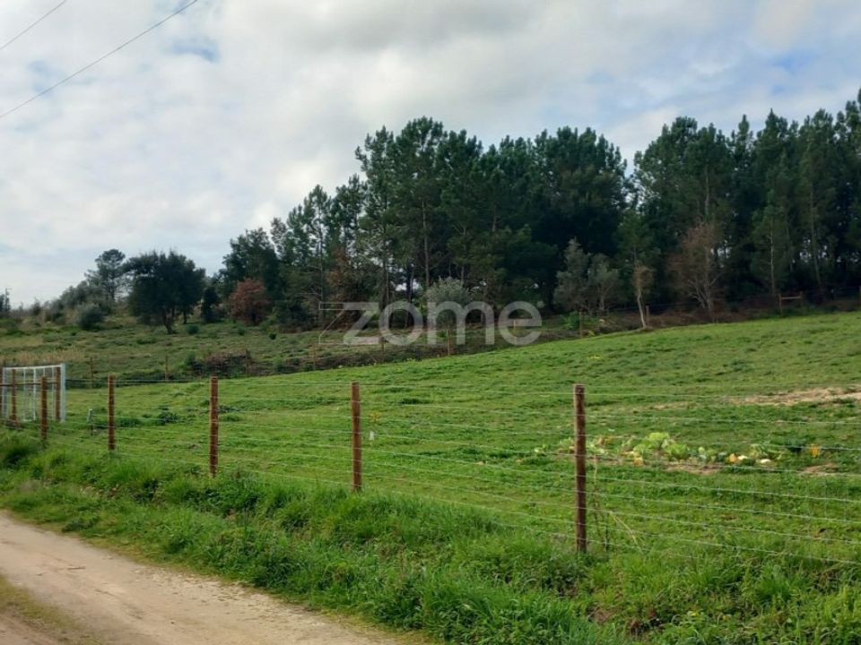 Tomt i Cartaxo, Santarem - bilde 2