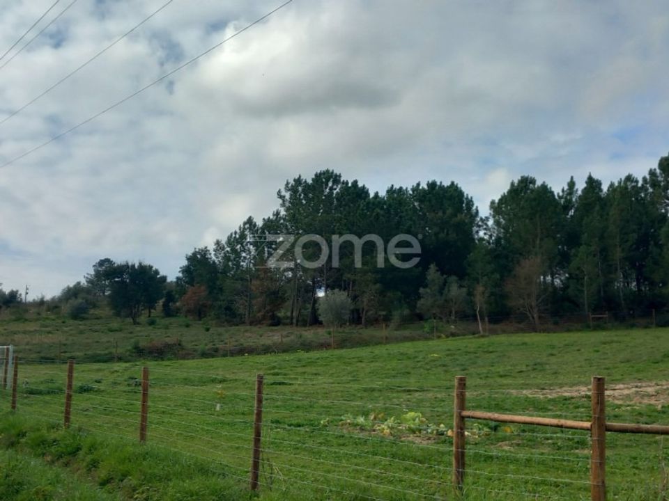 Tomt i Cartaxo, Santarem - bilde 4