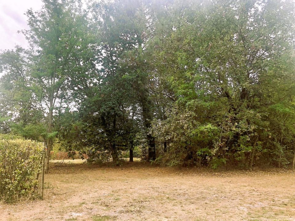 Helårsgrund i Le Taillan-Medoc, Gironde - foto 1