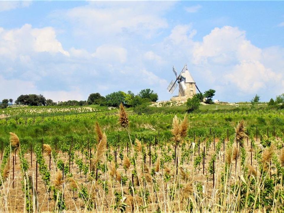 Helårsgrund i Villeneuve-Minervois, Aude - foto 4