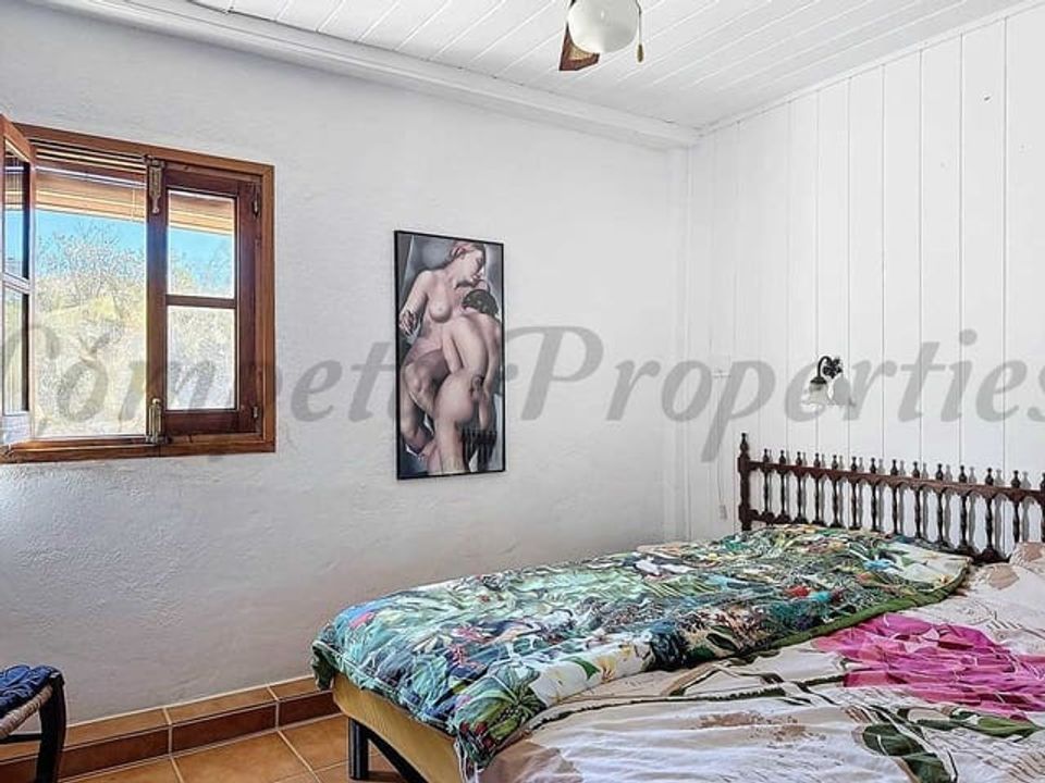 Erhvervsejendom i Sedella, Malaga - foto 5