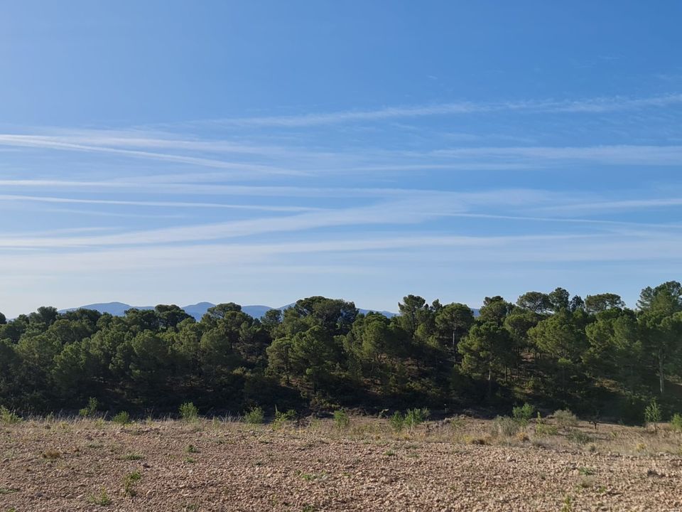 Tomt i Raspay, Murcia - bilde 2