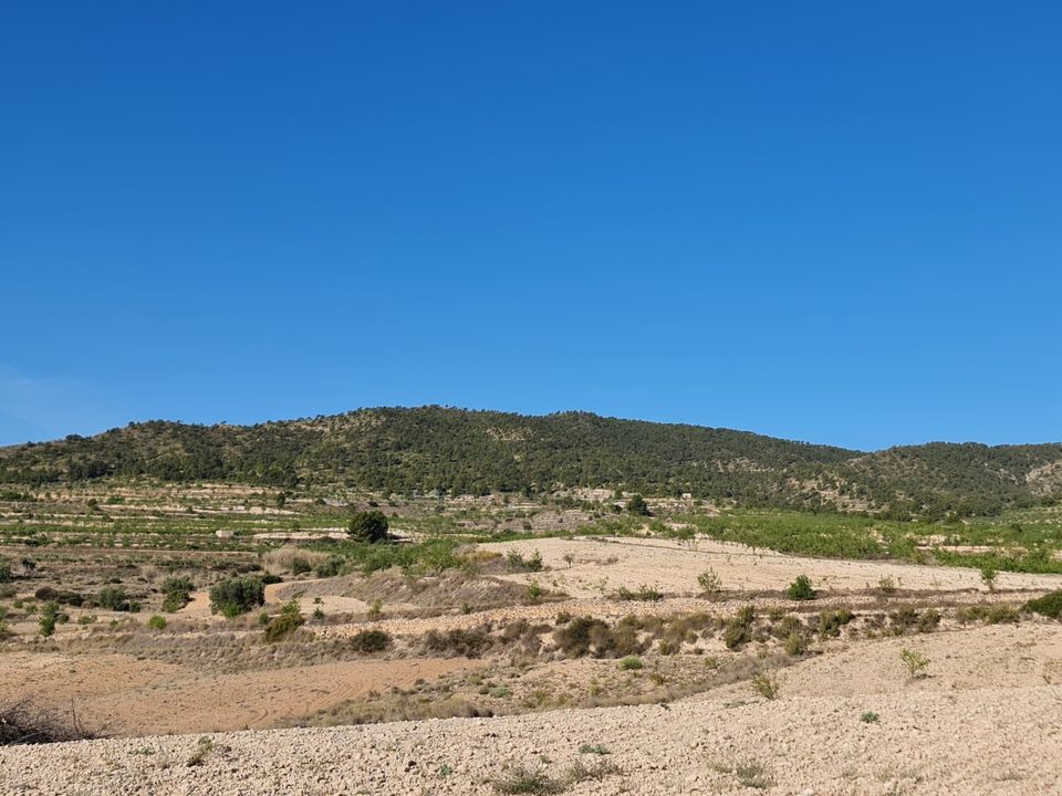 Tomt i Raspay, Murcia - bilde 4