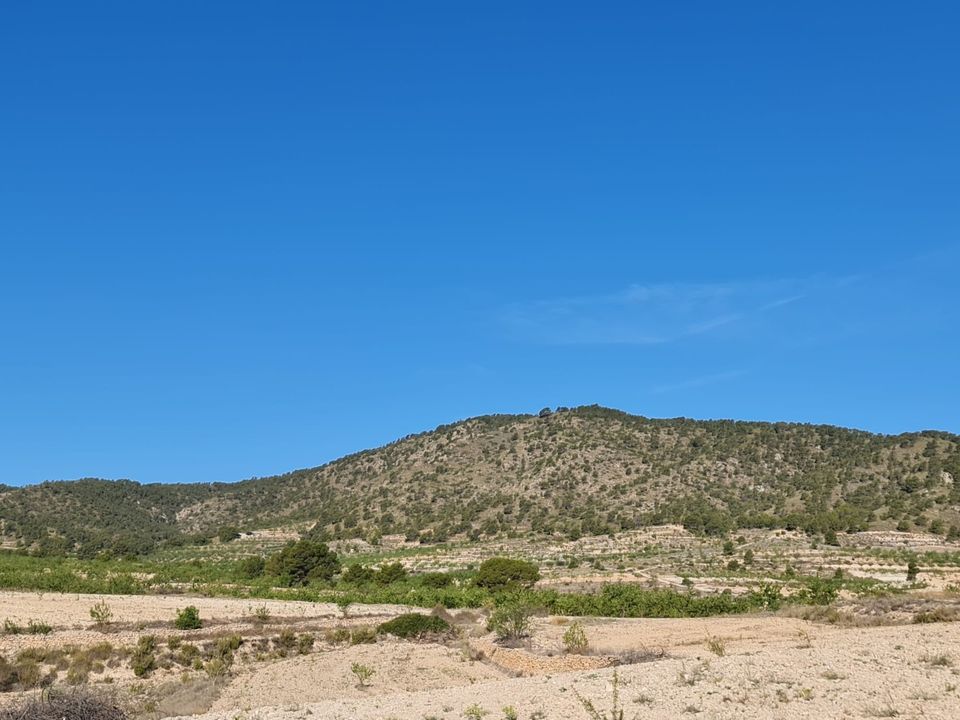 Tomt i Raspay, Murcia - bilde 5