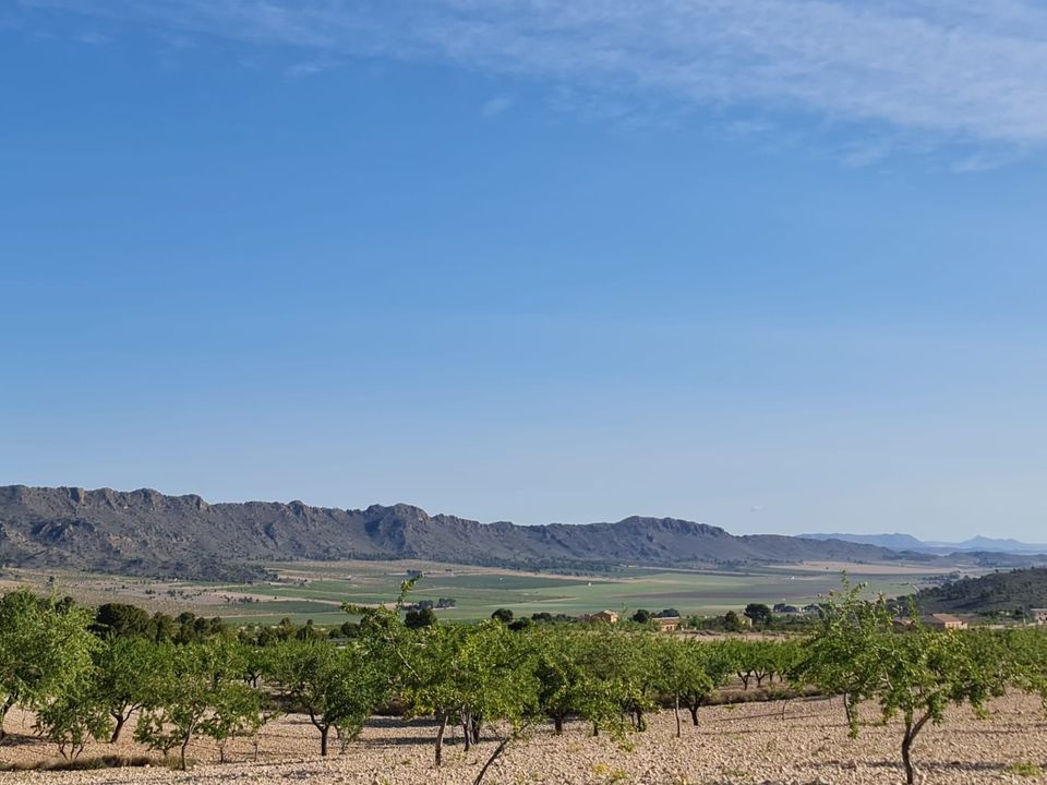 Tomt i Raspay, Murcia - bilde 2