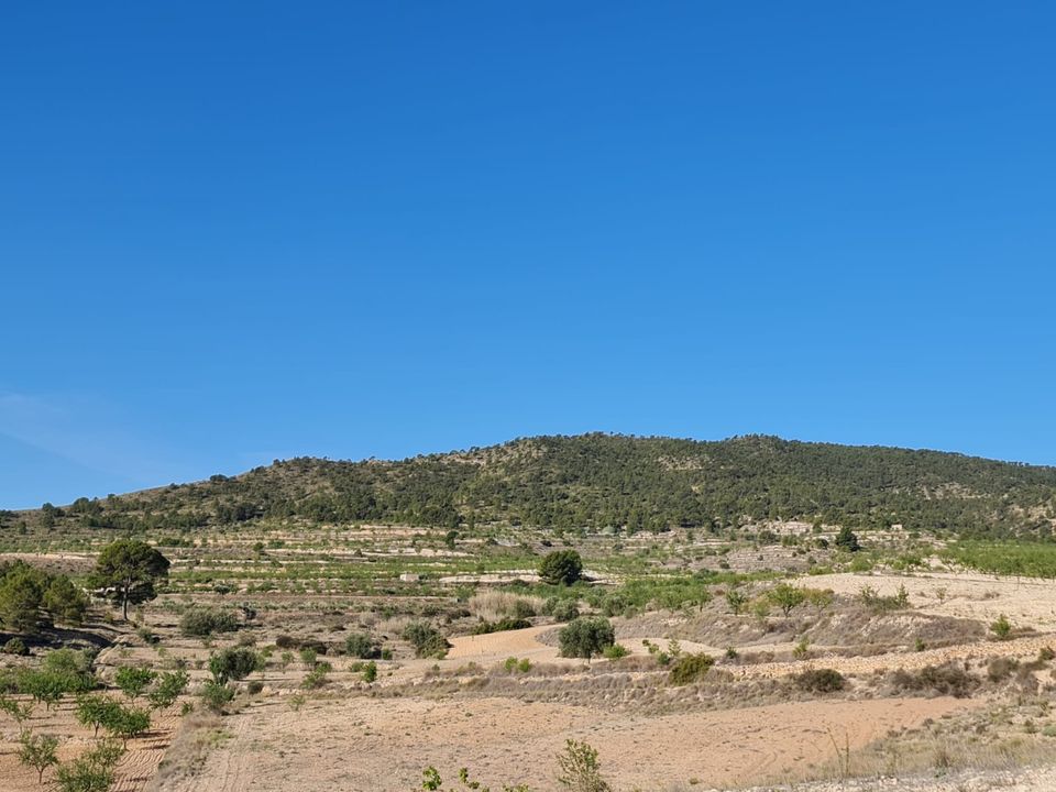 Tomt i Raspay, Murcia - bilde 3