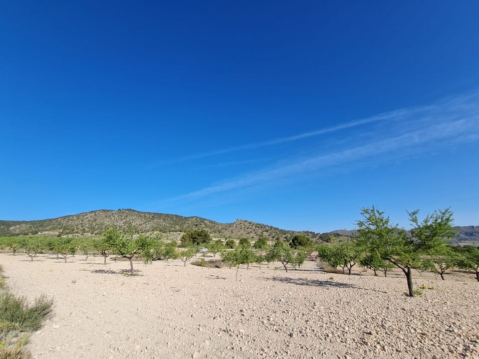 Tomt i Raspay, Murcia - bilde 4