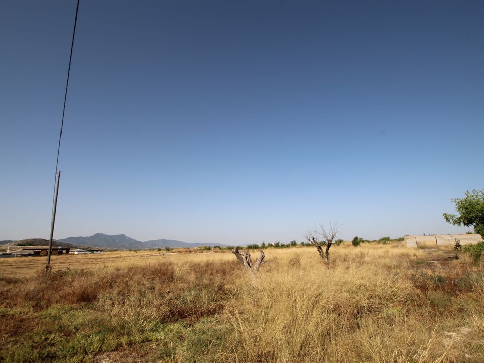 Herregård i Torre Del Rico, Murcia - bilde 5