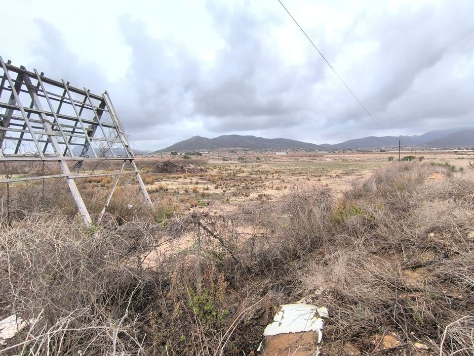 Helårsgrund i La Romana, Alicante - foto 1