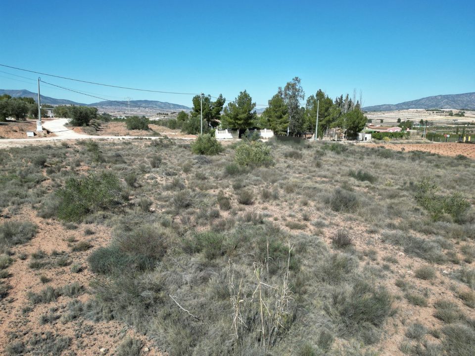 Helårsgrund i Pinoso, Alicante - foto 1