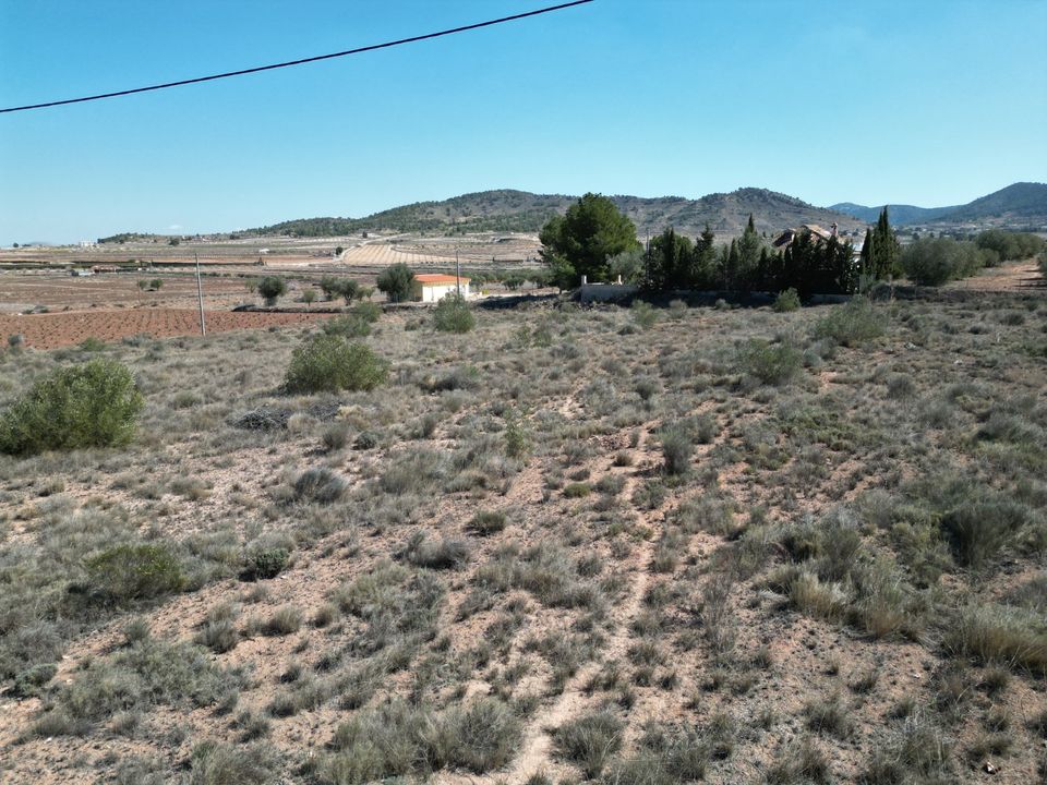Helårsgrund i Pinoso, Alicante - foto 2