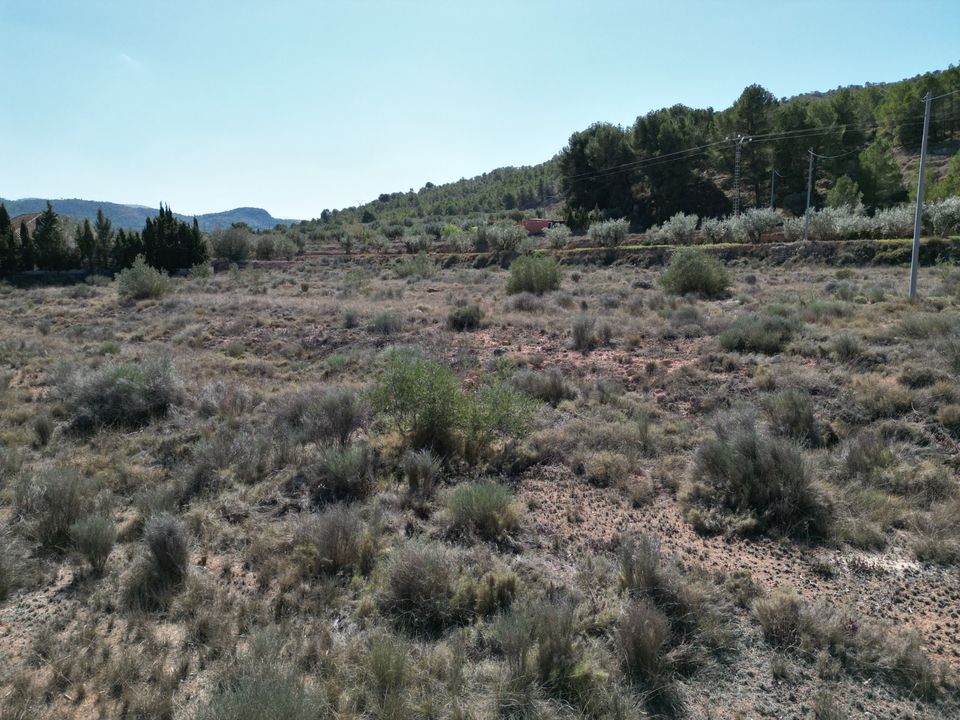 Helårsgrund i Pinoso, Alicante - foto 3