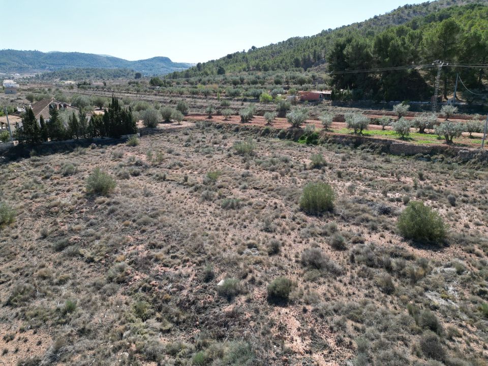 Helårsgrund i Pinoso, Alicante - foto 4