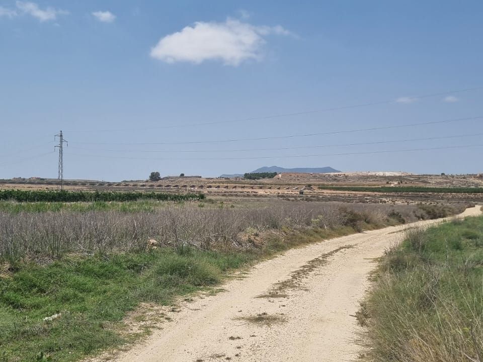 Helårsgrund i Pinoso, Alicante - foto 2