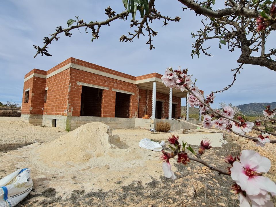 Villa i Pinoso, Alicante - foto 1