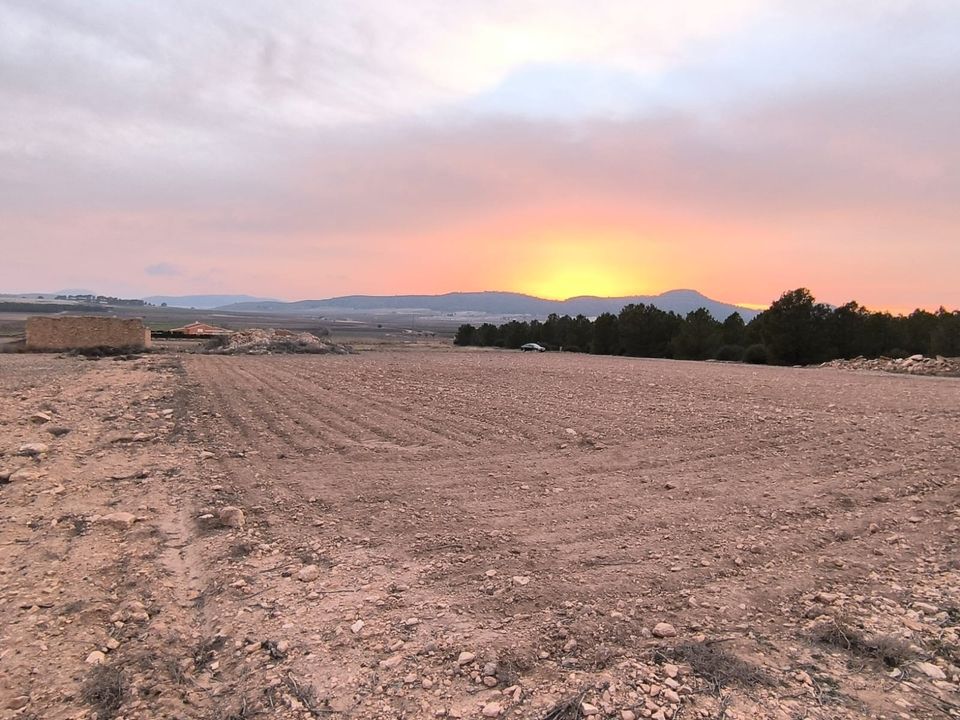 Grond in Yecla, Murcia - foto 5